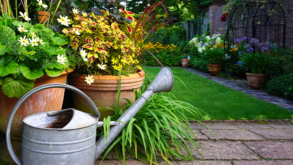 A watering pot sits close by blooming flowers and greenery in sunny spring weather