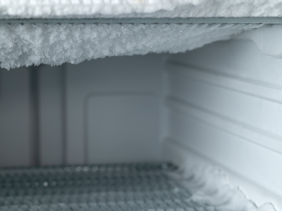 An empty freezer in a top-mount refrigerator is open for defrosting