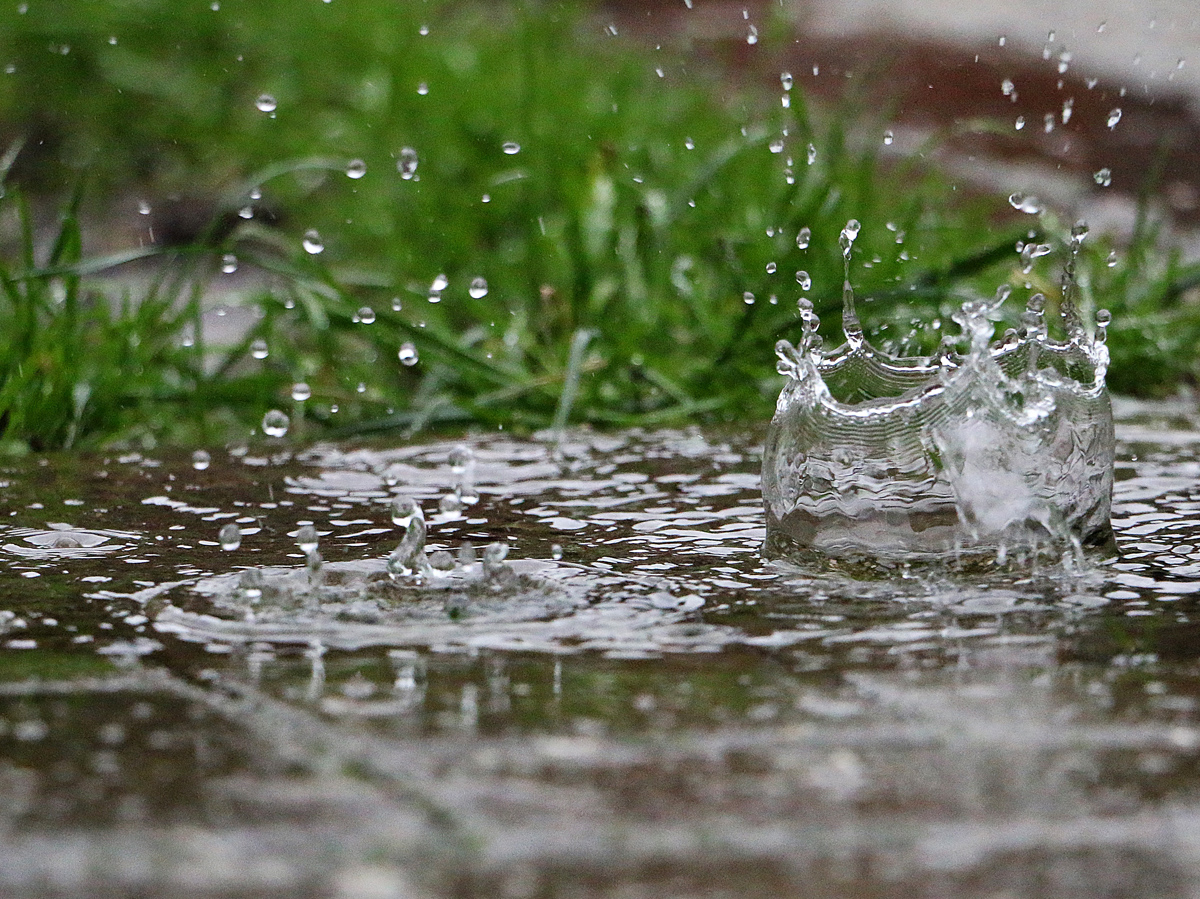 Rain collects in a dip in the sidewalk in front of a patch of grass