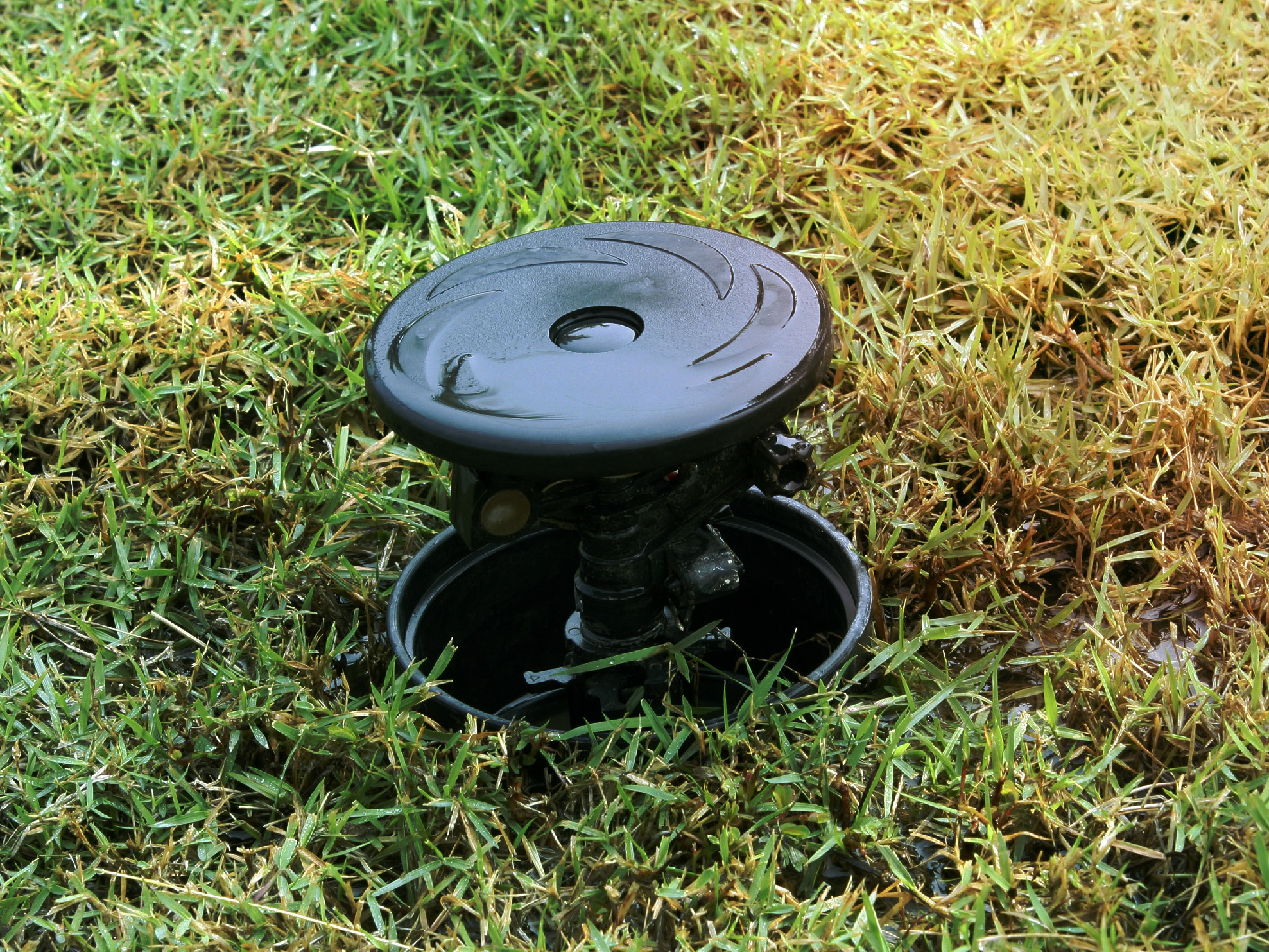 Sprinkler head guard 