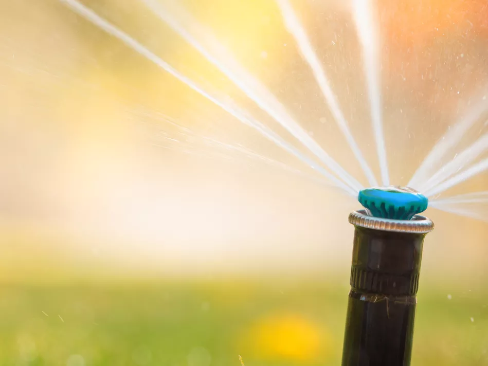 A sprinkler head shoots out water during golden hour